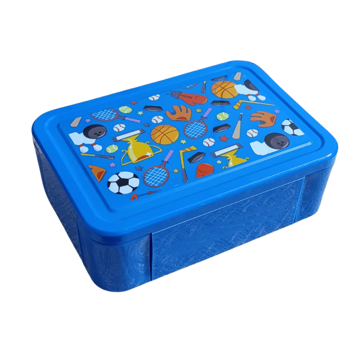 Kids Lunch Box Spoon & Fork Multi-Compartment Blue Pink