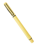 Stylish Fountain Pen for Students & Professionals