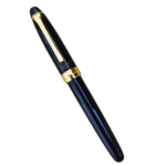 Stylish Fountain Pen for Students & Professionals