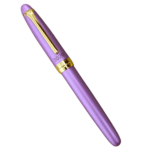 Stylish Fountain Pen for Students & Professionals
